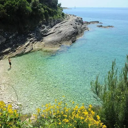 Ljubica *